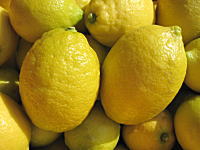 瀬戸田レモン　黄色く色付いたレモン！とっても香りが良い。